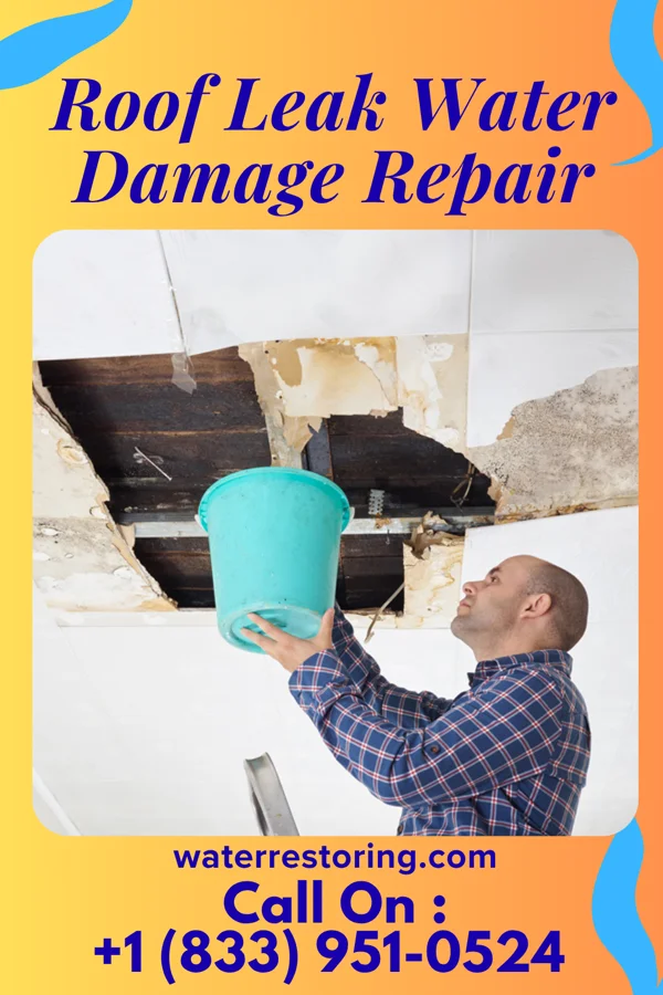 Roof Leak Water Damage Repair in Effingham, IL